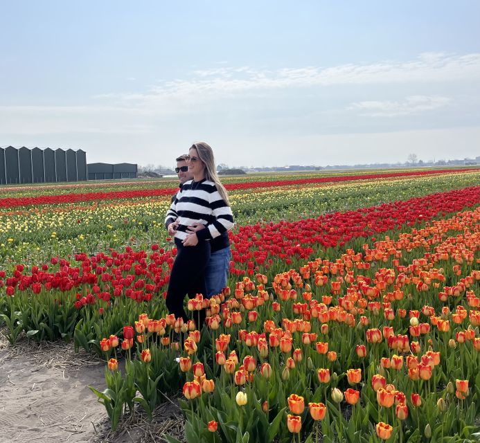 Lisse: Enjoy the Tulip Fields by Bike with a Local Guide! - Tulip Farm Break and Show Garden Walk: Where the Flowers Get Personal