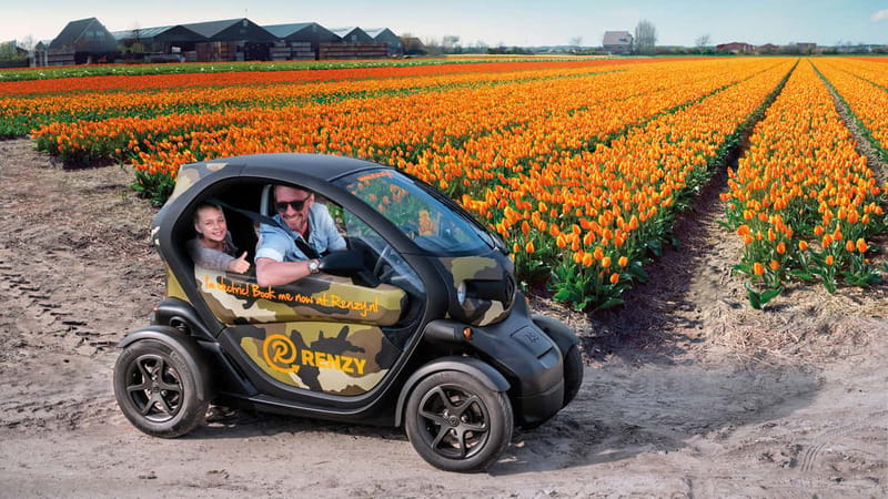 Lisse: Self-Guided Tulip Fields GPS Audio Tour - What You’re Really Buying: a 1-hour self-guided Twizy loop