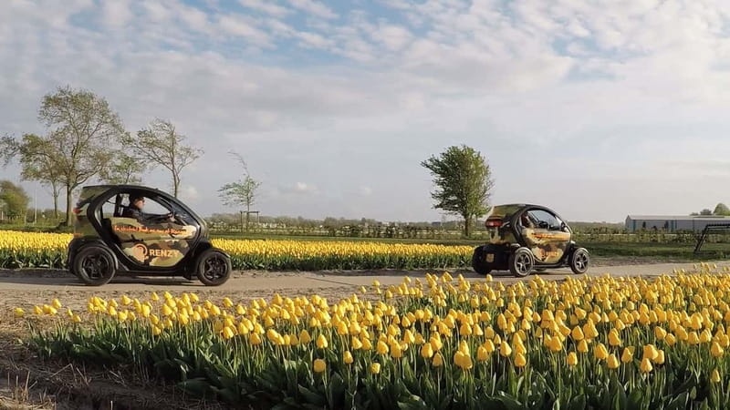 Lisse: Self-Guided Tulip Fields GPS Audio Tour - The 1-hour route: tulip fields, country roads, and roadside selfie stops