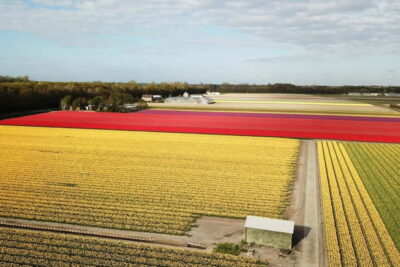 Lisse: Self-Guided Tulip Fields GPS Audio Tour - Where the tour starts (Renzy) and how to get there from Keukenhof Flowerpark