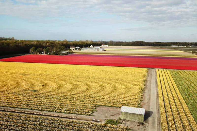 Lisse: Self-Guided Tulip Fields GPS Audio Tour - Where the tour starts (Renzy) and how to get there from Keukenhof Flowerpark