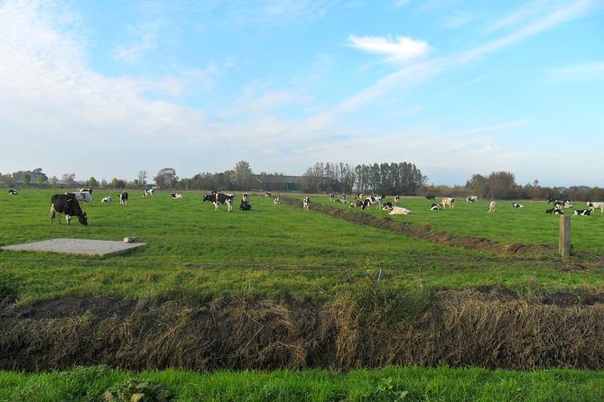 Off the Beaten Paths Dutch Landscape Private Tour 1/2 day Jaguar - What You’ll Learn in the Car (Ask for the Good Stories)