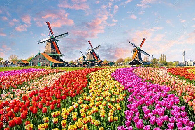 Private Countryside Tour From Amsterdam - A Private Countryside Day With Real Amsterdam Pickup