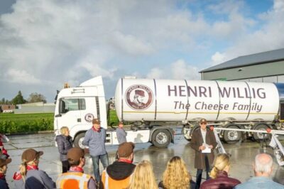 Private Countryside Tour From Amsterdam - Irene Hoeve Clogs and Cheese Farm: Milk to Cheese, Plus Tasting