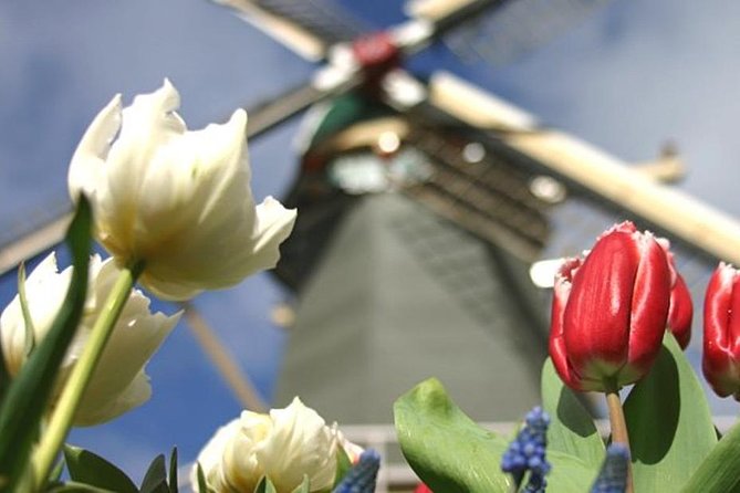 Private Day Tour to Keukenhof Gardens - from Amsterdam/Rotterdam - Guides Who Shape the Day (Even When Weather Messes Up Plans)