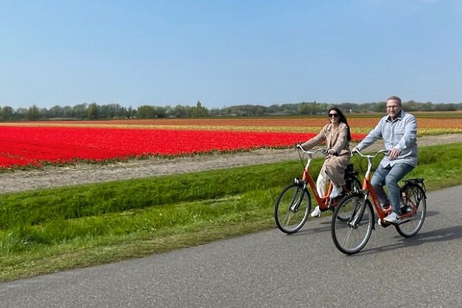 Private Day Tour to Keukenhof Gardens - from Amsterdam/Rotterdam - What a Full Day Feels Like (Timing and Pace)