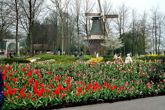 Private Day Trip from Amsterdam to Keukenhof with Entrance Tickets - Door-to-door pickup that makes Keukenhof a real half-day