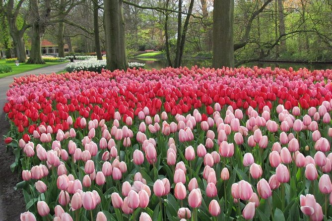 Private Day Trip from Amsterdam to Keukenhof with Entrance Tickets - Weather matters—and that affects your planning mindset