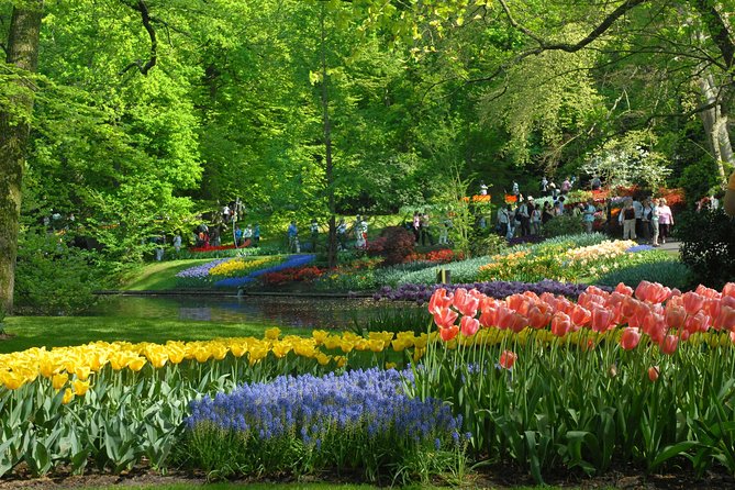 Private Day Trip from Amsterdam to Keukenhof with Entrance Tickets - Who this private Keukenhof day trip is for