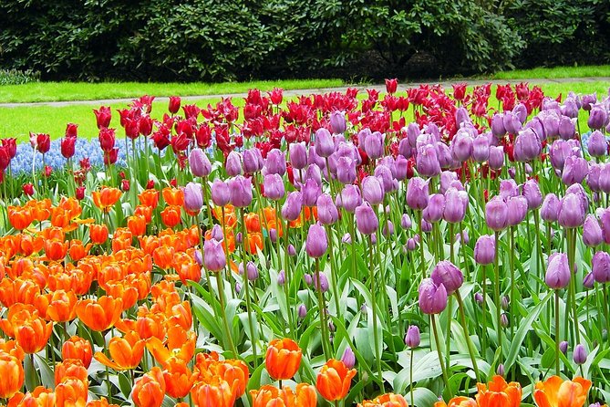 Private Day Trip from Amsterdam to Keukenhof with Entrance Tickets - Queue-jump entry is the time saver you actually feel