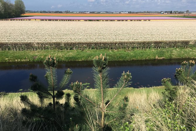 Private daytour from Amsterdam into the Countryside - What “customizable” really means on the ground