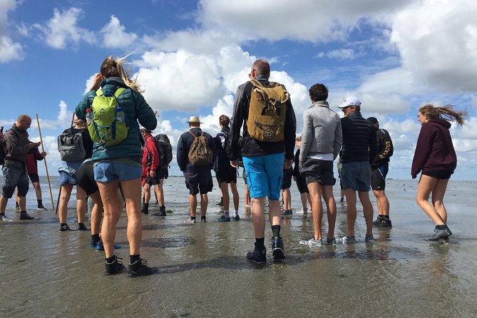 Private Guided Full-Day Customizable Tour of Holland from Amsterdam - How the Holland Tour Company day plan gets built around you