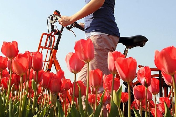 Private Guided Full-Day Customizable Tour of Holland from Amsterdam - Guides, communication, and why it affects your day