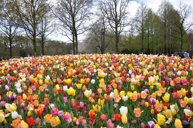 Private Guided Keukenhof Gardens and Zaanse Schans Tour - Zaanse Schans: preservation village vibes plus a working windmill