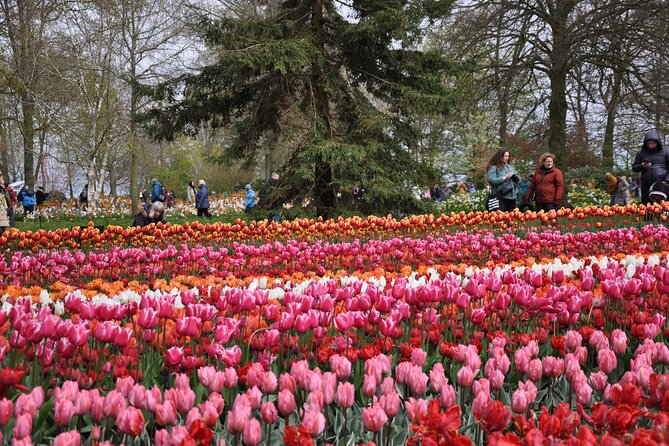 Private Guided Keukenhof Gardens and Zaanse Schans Tour - Tulip timing reality check: when bloom is peak, and when it’s not
