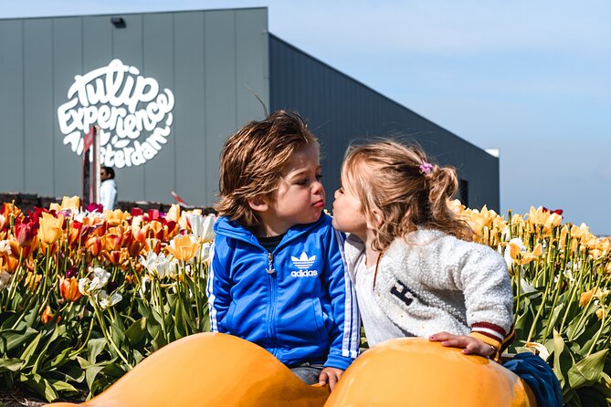 Private Keukenhof Gardens and Tulip Fields Tour from Amsterdam - Best fit: who this private Keukenhof tour suits best