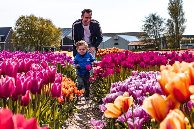 Private Keukenhof Gardens and Tulip Fields Tour from Amsterdam - Should you book this private Keukenhof and tulip fields day?
