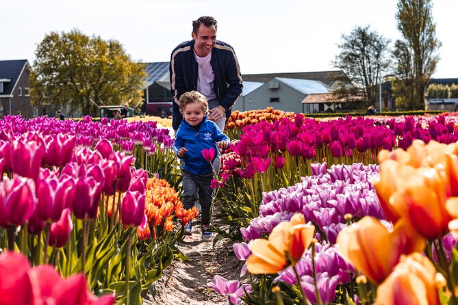 Private Keukenhof, Gardens, Windmills, cheese tour from Amsterdam - Private Amsterdam pickup and the driver/host advantage (especially with kids)