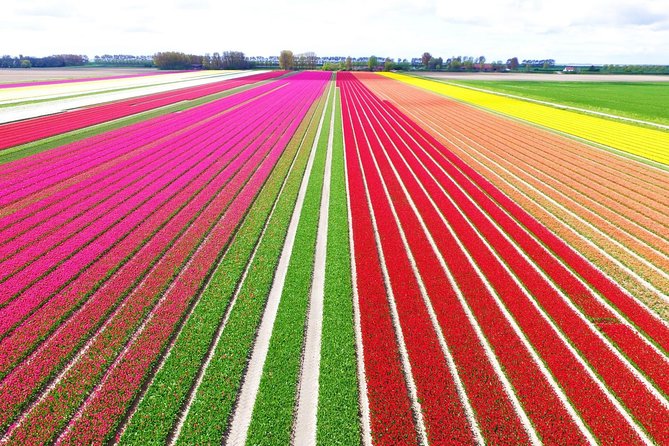 Private Keukenhof Park and Tulip Fields Tour (Skip-The-Line) - The 6 things that make this tour work so well