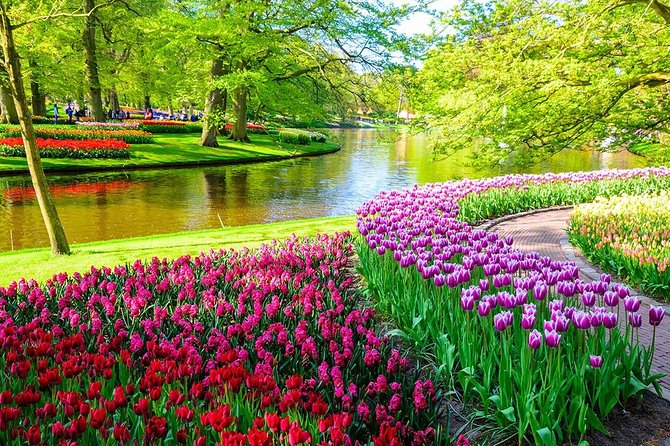 Private Keukenhof Park and Tulip Fields Tour (Skip-The-Line) - Private Mercedes pickup and the comfort factor for a 5-hour day
