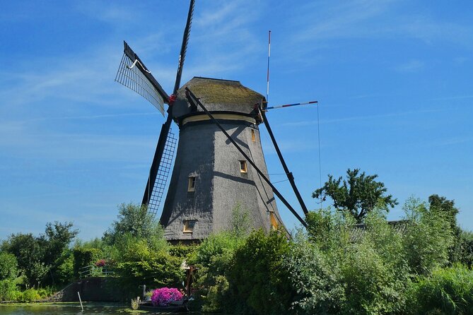 Private Tour to Kinderdijk and Delft / Leiden / Hague / Gouda - Rotterdam: modern city energy and food-hall wandering