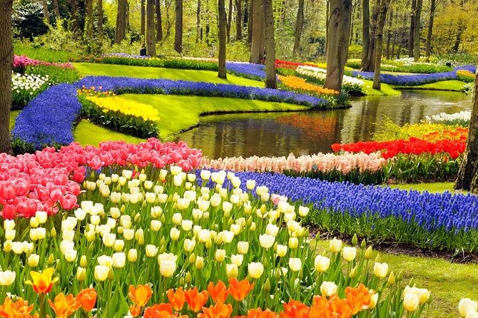 Private Tour to the Keukenhof and Tulip Fields - Keukenhof timing and what you actually get in about 2 hours