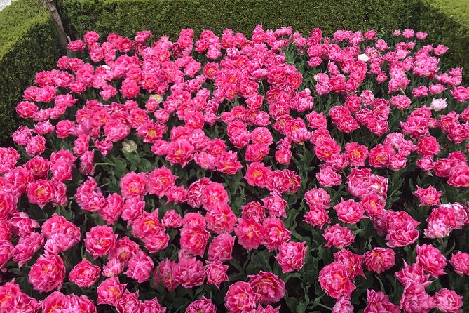 Private Tour to the Keukenhof and Tulip Fields - Price and value: what $318.70 per person buys you