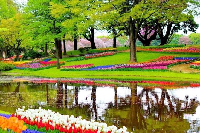 Private Tour to Tulips, Keukenhof, Windmills & Cheese Farm - Tulip Experience Amsterdam: learn first, then walk the fields, then pick