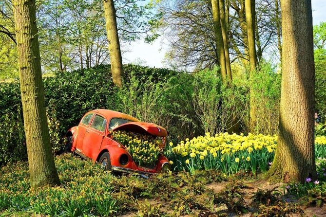 Private Tour to Tulips, Keukenhof, Windmills & Cheese Farm - Best season for tulips and how to set your expectations