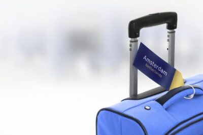 Private Transfer from Schiphol Airport to Rotterdam - Your Driver’s Details: Vehicle Type, Color, and License Plate