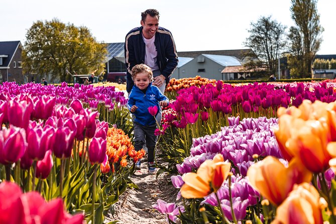 Private Tulip Fields, Windmills and Cheese Tour from Amsterdam - Keukenhof skip-the-line: how to use your 2 hours