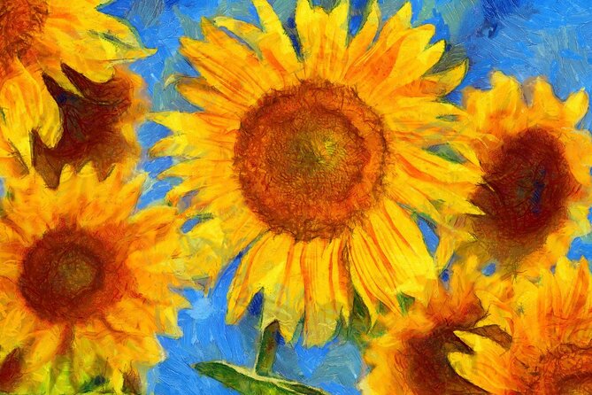 Private Van Gogh Museum Tour in Amsterdam - What the private guide actually adds (and how to use it)
