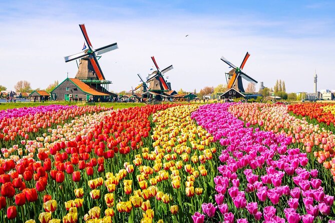 Private Zaanse Schans & Volendam Tour: Windmills, Cheese & Clogs - Should you book this private Zaanse Schans & Volendam tour?