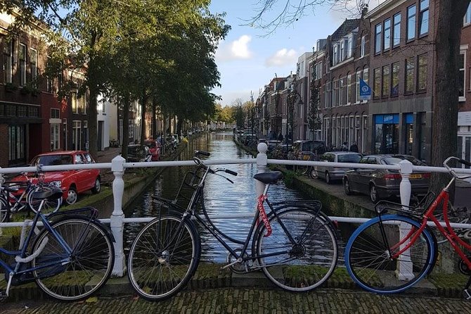 privatetour Delft, The Hague&Rotterdam Kinderdijk from Amsterdam - Mauritshuis stop: The Girl with the Pearl Earring