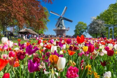 Skip-the-Line Keukenhof Gardens and Tulip Fields Tour from Amsterdam - Skip-the-line entry: fewer minutes staring at other people