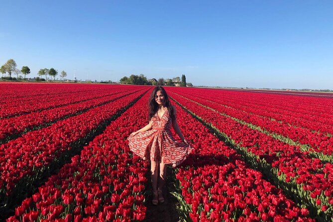 Small Group Keukenhof and Delft Guided Tour from Amsterdam - Keukenhof Gardens: how the day starts and how to use your 3 hours