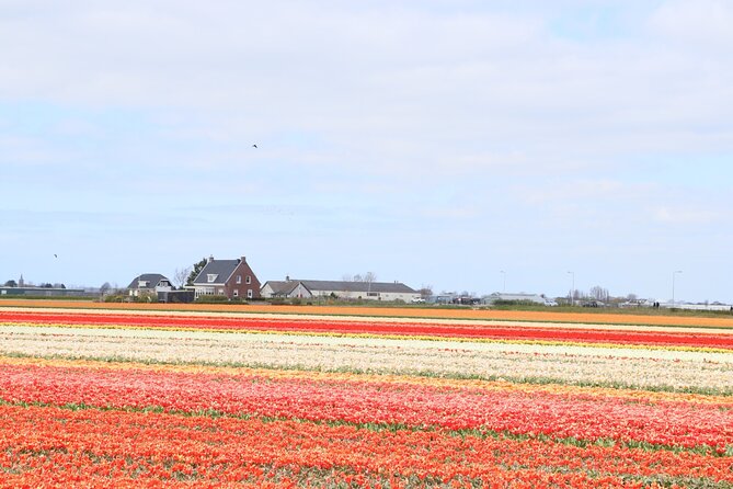Small Group Keukenhof and Delft Guided Tour from Amsterdam - Value check: what $191.88 really buys you