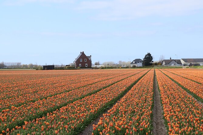 Small Group Keukenhof and Delft Guided Tour from Amsterdam - Who should book this Keukenhof and Delft combo