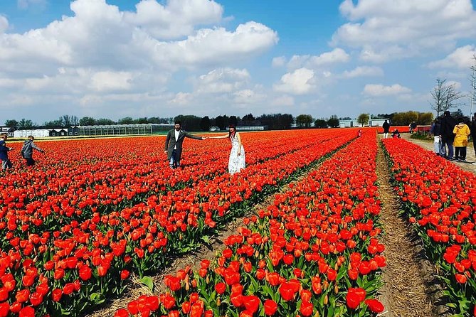 Small Group Keukenhof and Delft Guided Tour from Amsterdam - Should you book this tour or choose something else?
