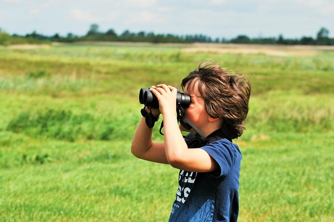 Small Group Tour to NP Hoge Veluwe (van Gogh) from Amsterdam - Weather reality: when nature plans rule the day