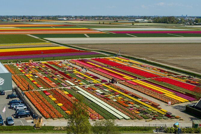 Tour to Giethoorn and Keukenhof Tulip Fields from Amsterdam - Time, pacing, and what to plan around on a 10-hour day