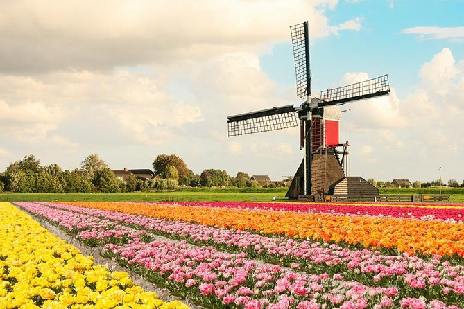 Tulip Experience and Keukenhof Flower Gardens Tour from Amsterdam - Tulip Experience Amsterdam: museum story, then a sea of color