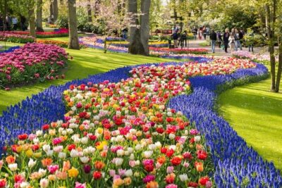 Tulip Experience and Keukenhof Flower Gardens Tour from Amsterdam - Picking your own tulips: the souvenir part that’s actually fun
