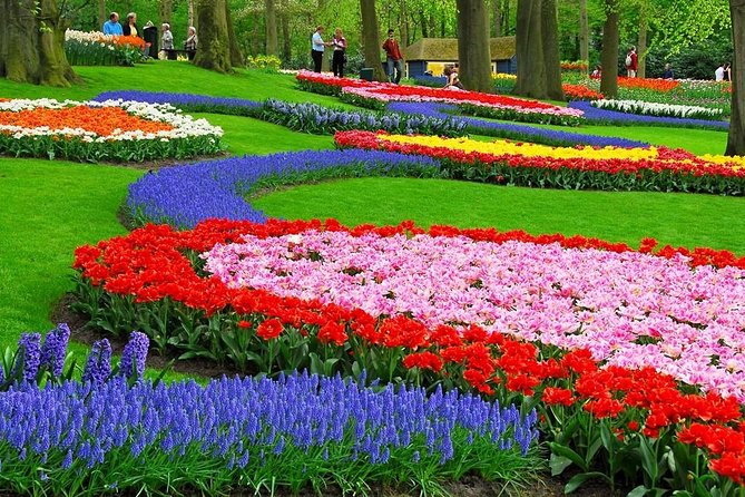 Tulip Experience and Keukenhof Flower Gardens Tour from Amsterdam - Price and value: $382.91 that’s really about convenience