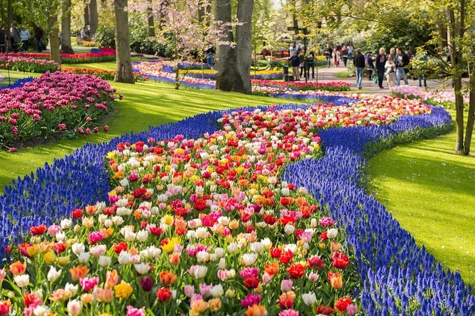 Tulip Experience and Keukenhof Flower Gardens Tour from Amsterdam - Picking your own tulips: the souvenir part that’s actually fun