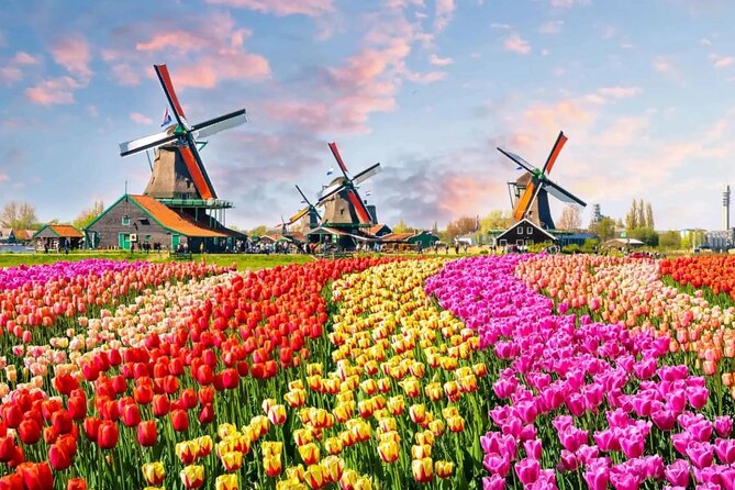 Tulip Paradise: Keukenhof Half-Day Private Tour - From hotel pickup to tulip fields: what private transport really gives you