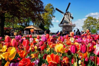 Tulip Paradise: Keukenhof Half-Day Private Tour - Keukenhof gardens at your pace: how to use the 4-hour window