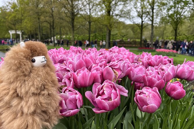 Tulip Paradise: Keukenhof Half-Day Private Tour - Timing and bloom reality: what to expect on a seasonal day
