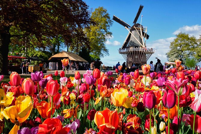 Tulip Paradise: Keukenhof Half-Day Private Tour - Keukenhof gardens at your pace: how to use the 4-hour window