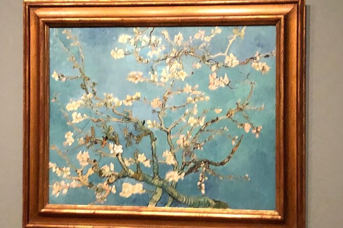 Van Gogh Museum, Rijks Museum & Walking Tour - Private Day Tour - How the timing and pacing really feel in practice